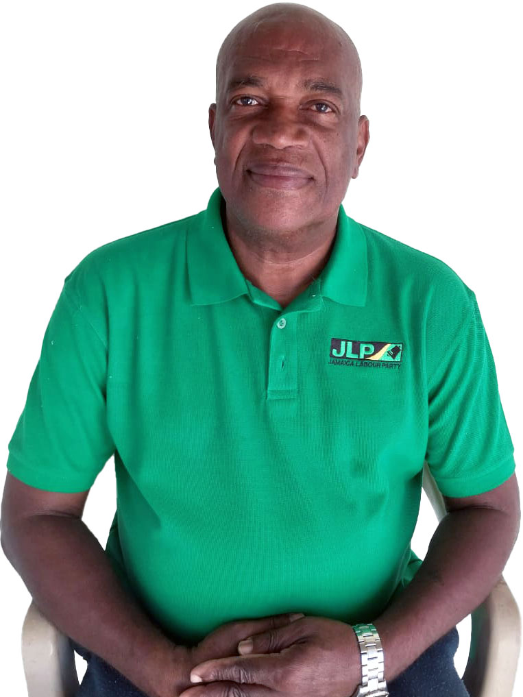 Division Springfield Jamaica Elections Local Government 2024